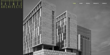 Raineo Associates website design